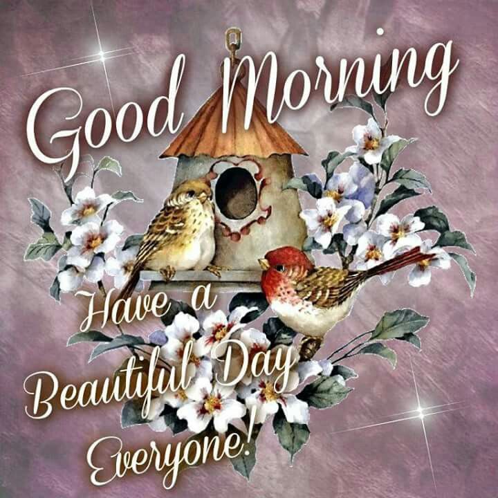 Good Morning. Have A Beautiful Day Everyone! Pictures, Photos, and