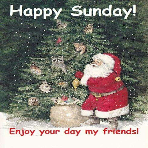 Enjoy Sunday Friends