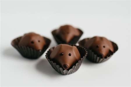 Peanut Butter Pups