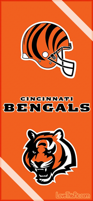 Cincinati Bengals Cincinati Bengals