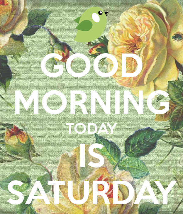 Good Morning Today Is Saturday Pictures Photos And Images For