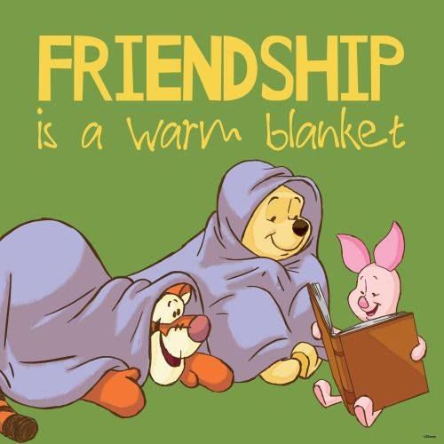 Friendship Is A Warm Blanket Pictures, Photos, and Images for Facebook