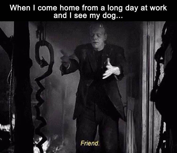 The kitten and the blue ball текст. When i come home. Come back home постер. When или while в past continuous. Раскраска have come home.