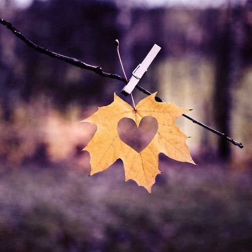 Heart cut out