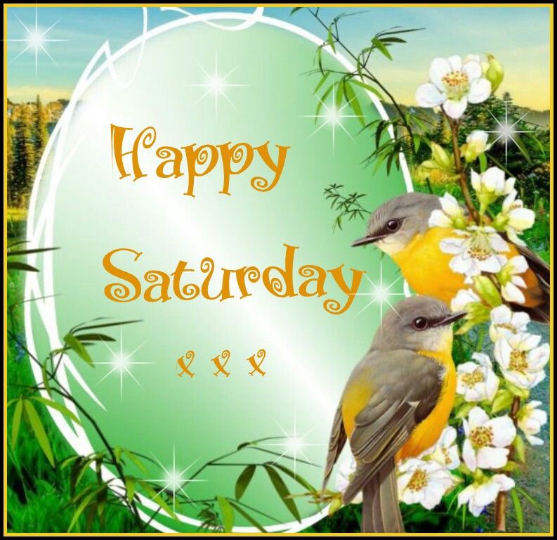 Happy Saturday Pictures, Photos, and Images for Facebook, Tumblr