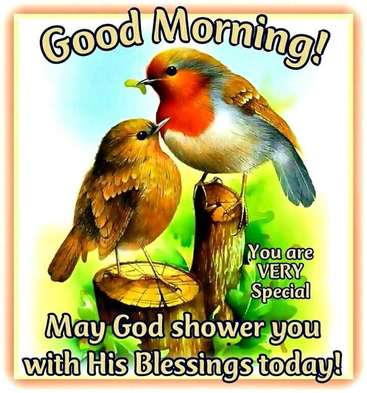 Showers Of Blessings Quotes Good Morning! May God Shower You With His Blessings Today! Pictures,  Photos, And Images For Facebook, Tumblr, Pinterest, And Twitter