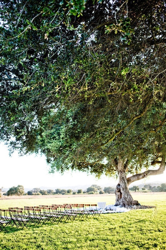 Beautiful outside wedding setup