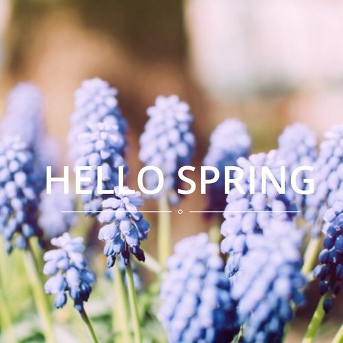 Hello Spring Pictures, Photos, and Images for Facebook, Tumblr ...