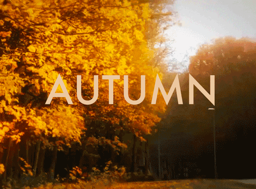 Autumn Autumn