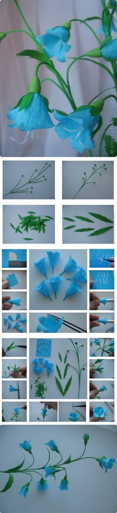 DIY Bluebell Flower DIY Bluebell Flower