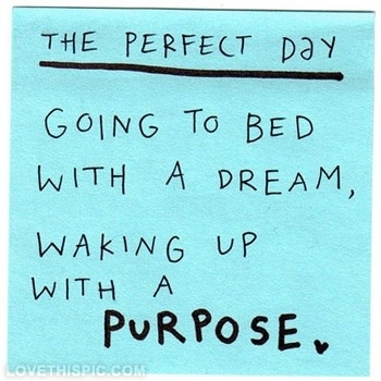 The perfect day The perfect day