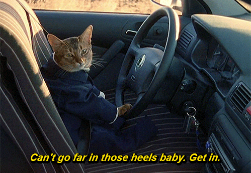 Get in baby