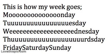 This is how my week goes This is how my week goes