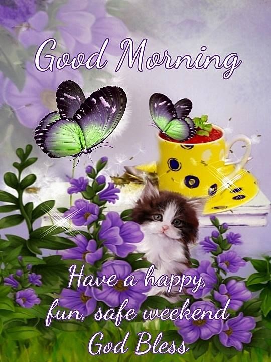 Good Morning Have A Safe Weekend Pictures, Photos, and Images for