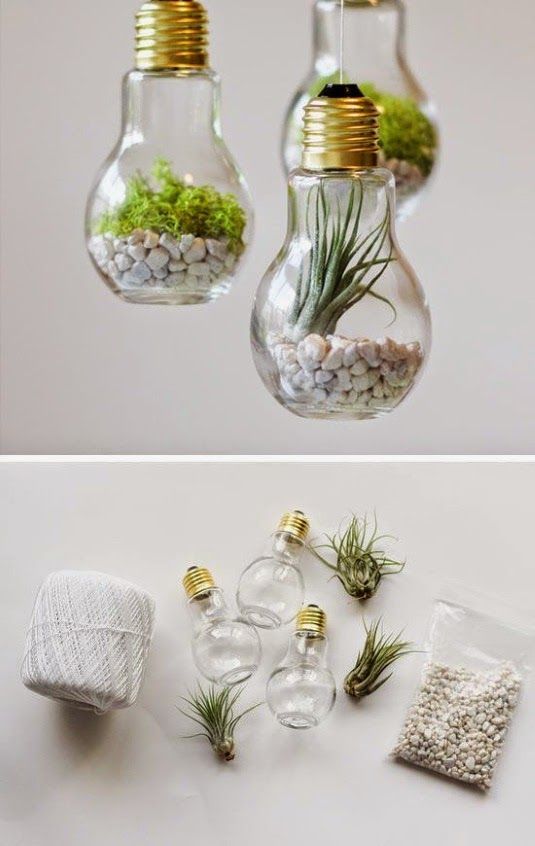 Up Cycle Light Example DIY Upcycle Lightbulbs Pictures, Photos, and Images for Facebook ...