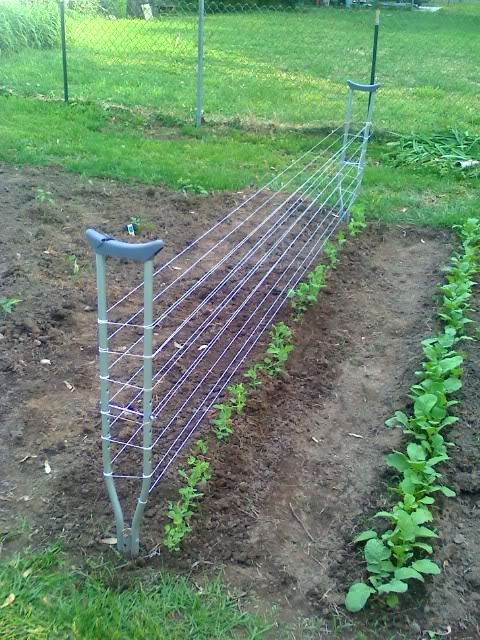 In progress garden In progress garden