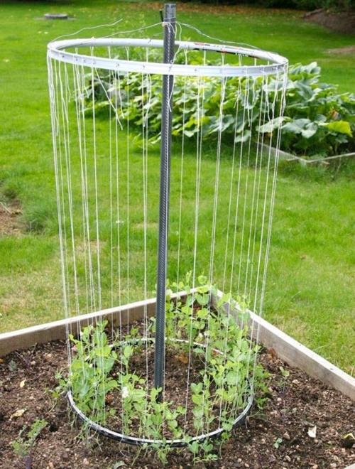 Recycled Bike Wheel Trellis