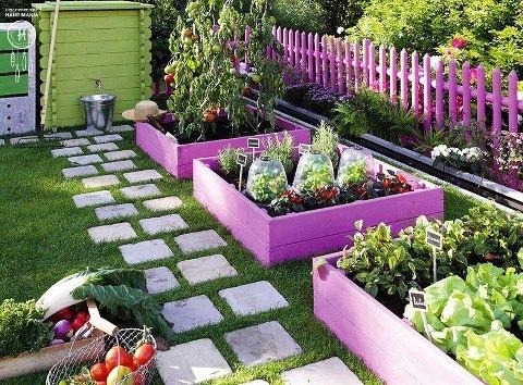 purple garden purple garden