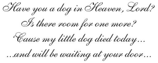 Dog in Heaven