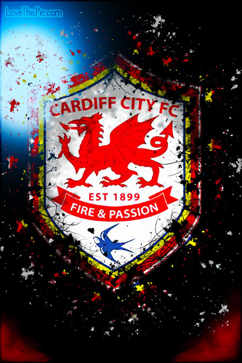 Cardiff City Cardiff City