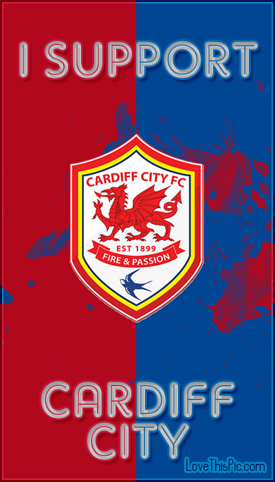 I SUpport Cardiff City