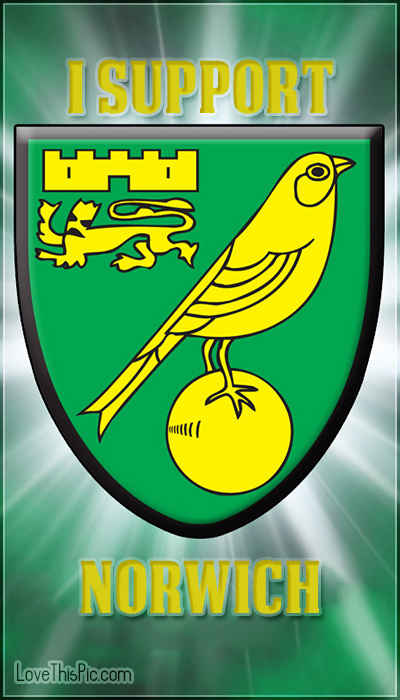 I Support Norwich