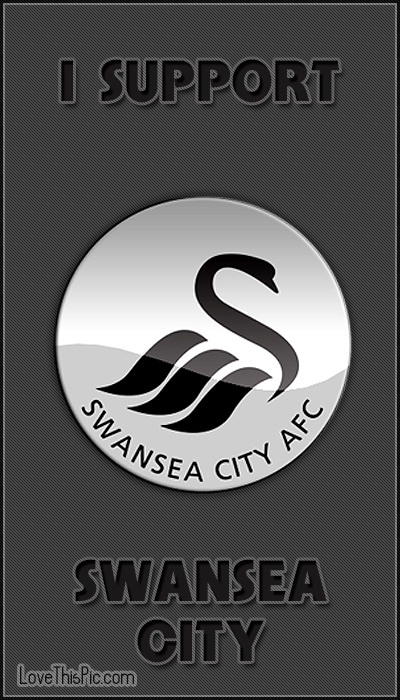 I Support Swansea City