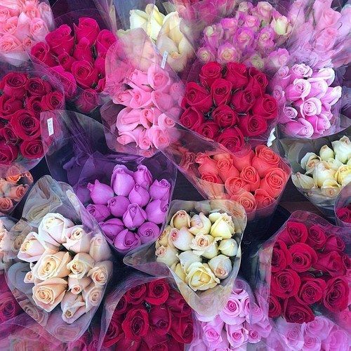 Bundles Of Roses Pictures, Photos, and Images for Facebook, Tumblr