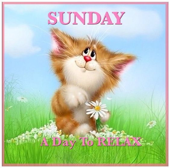 Sunday, A Day To Relax Pictures, Photos, and Images for Facebook, Tumblr, Pinterest, and Twitter