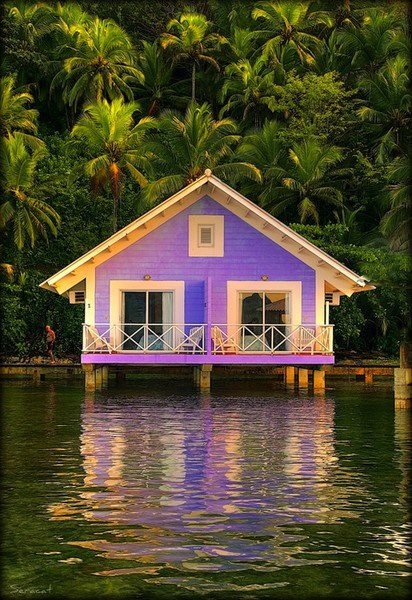 Purple Houseboat Purple Houseboat
