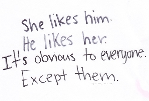 She likes him. He likes her. She likes him. He likes her.
