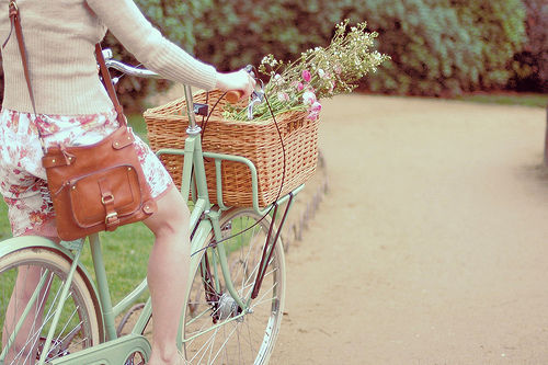 Autumn Bike rides 