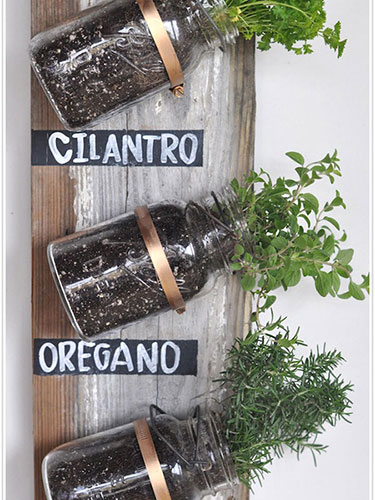 mason jar herb garden mason jar herb garden