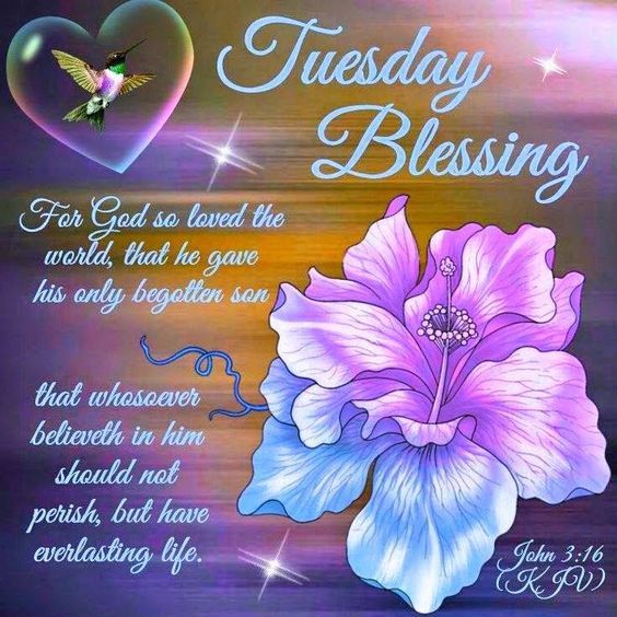 Tuesday Blessing Pictures, Photos, and Images for Facebook, Tumblr