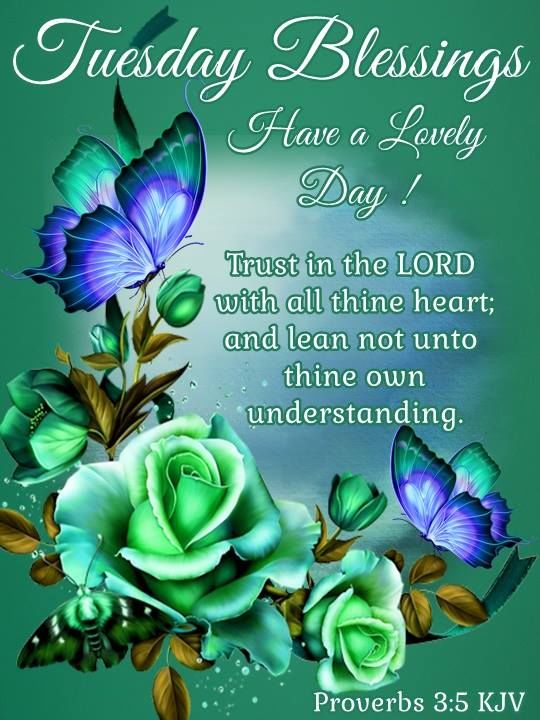 Tuesday Blessings Pictures, Photos, and Images for Facebook, Tumblr