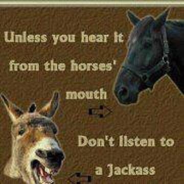 the horses mouth