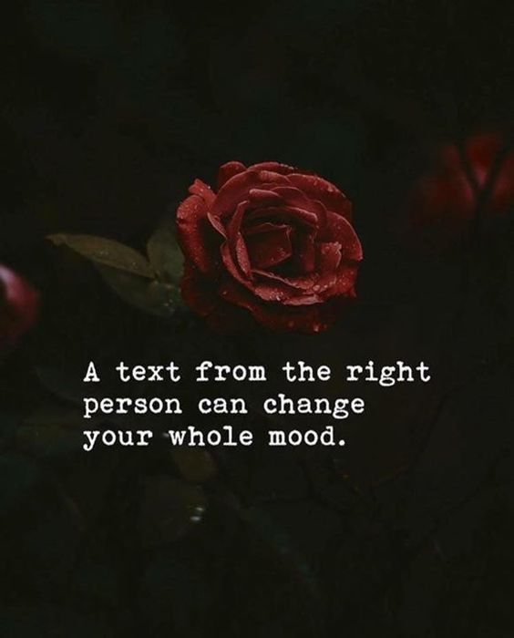 A Text From The Right Person Can Change Your Whole Mood Pictures