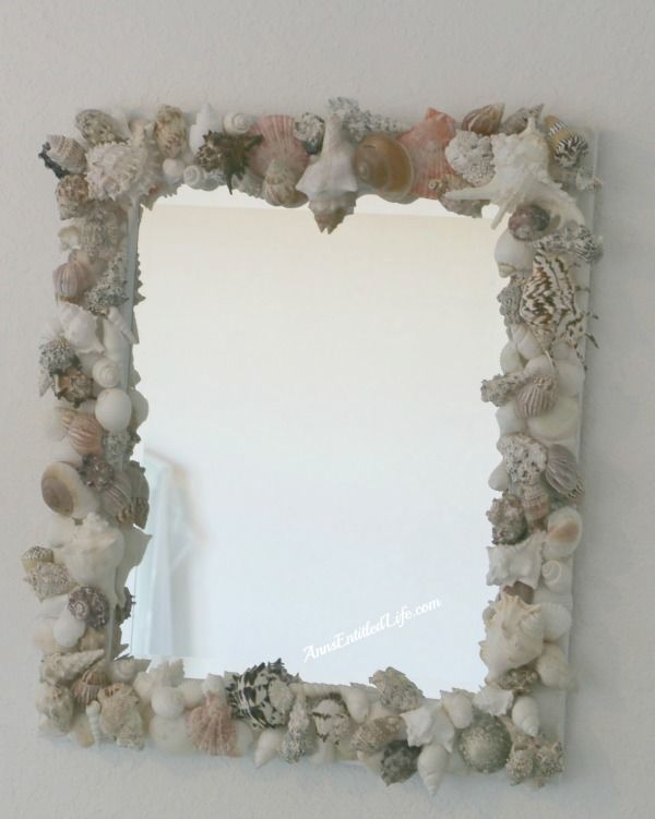 Seashell Mirror Pictures, Photos, and Images for Facebook, Tumblr