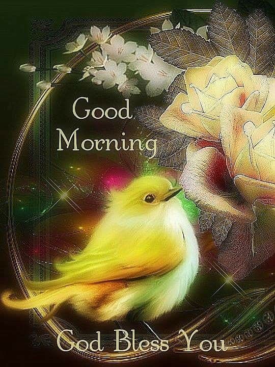 Yellow Bird & Yellow Rose Good Morning Blessing Pictures, Photos, and
