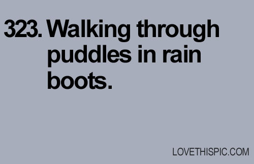 323-puddles 323-puddles