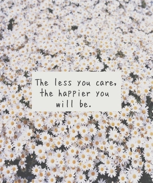 The less you care, the happier you will be The less you care, the happier you will be