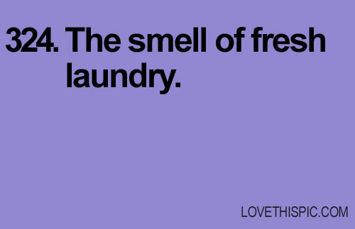 324-laundry 324-laundry