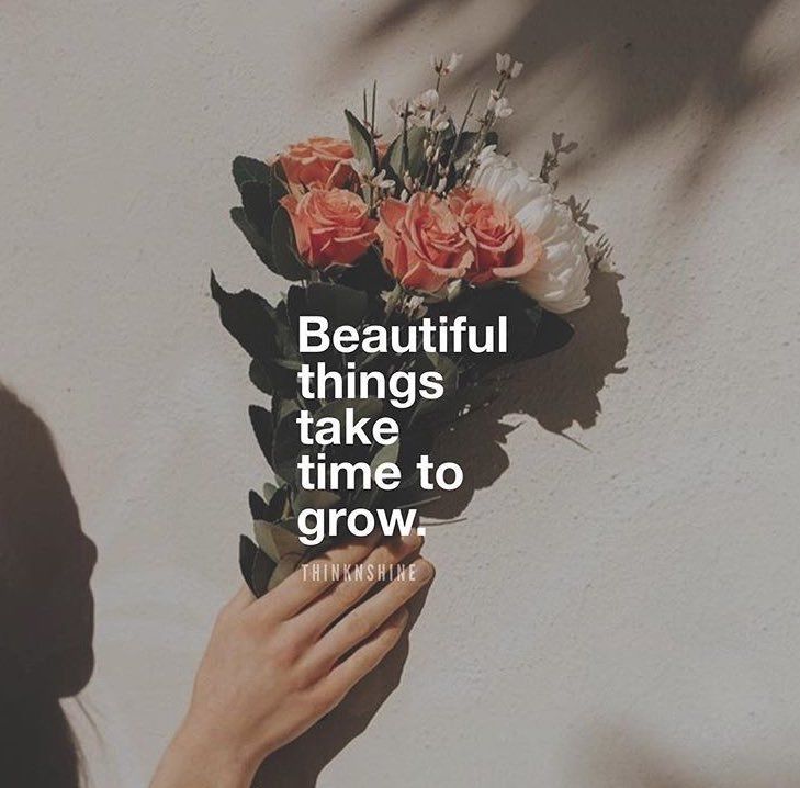 Beautiful Things Take Time To Grow Pictures, Photos, and Images for