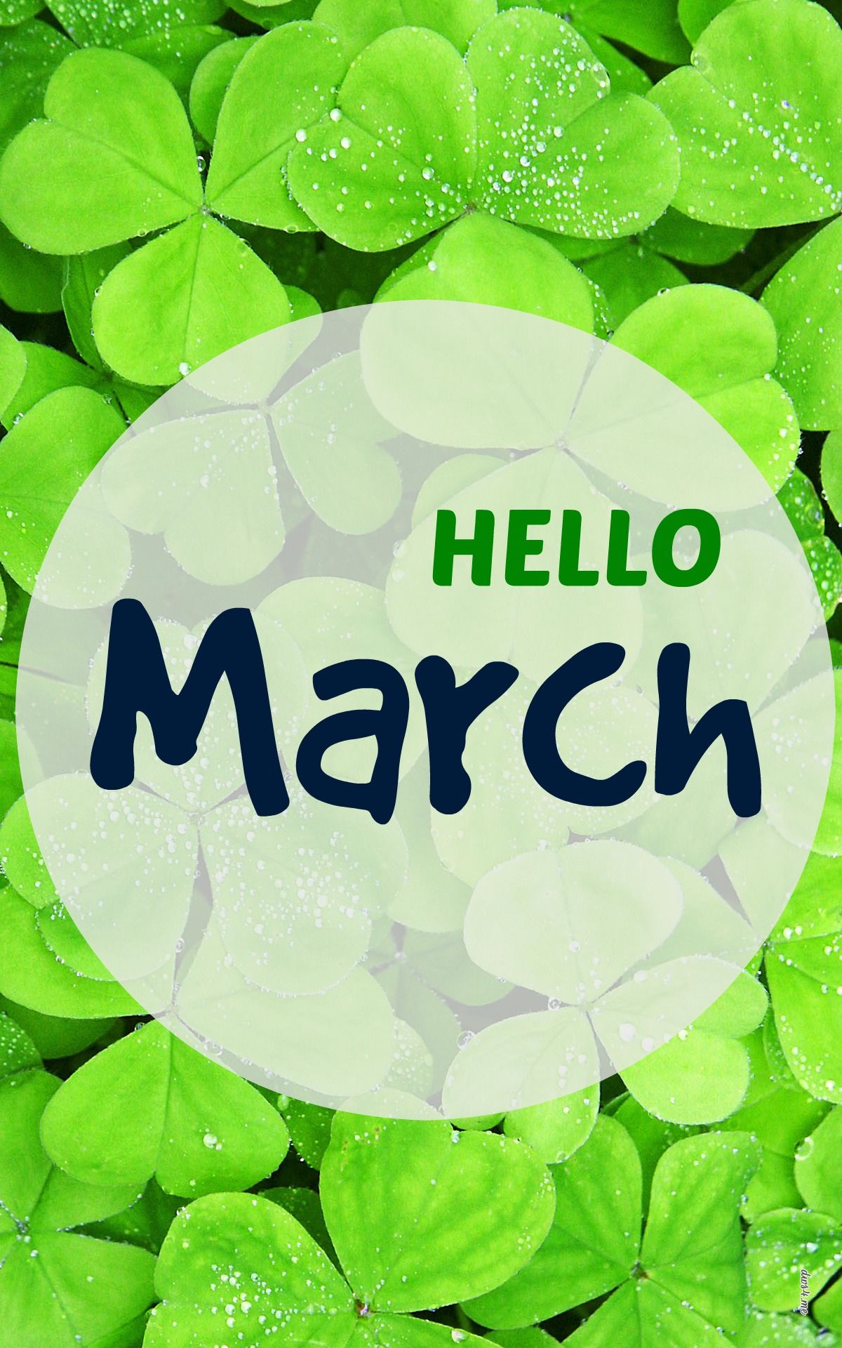 Green Clover Hello March Pictures Photos And Images For Facebook 