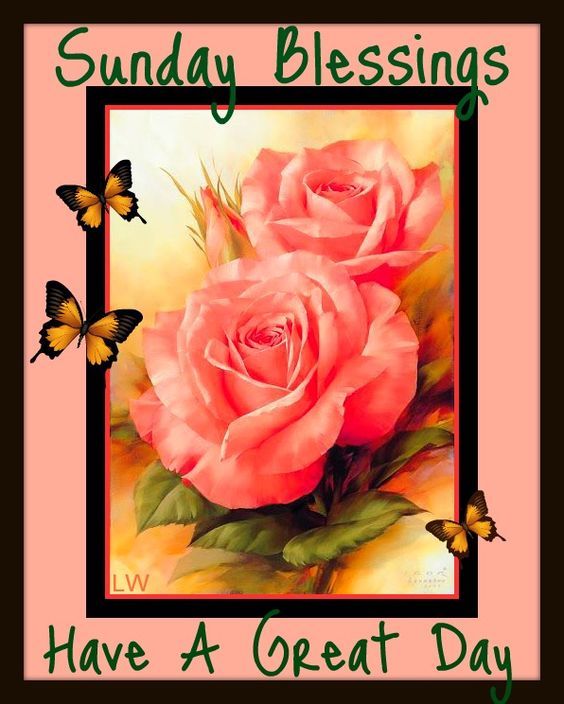 Have A Great Sunday Pictures, Photos, and Images for Facebook, Tumblr