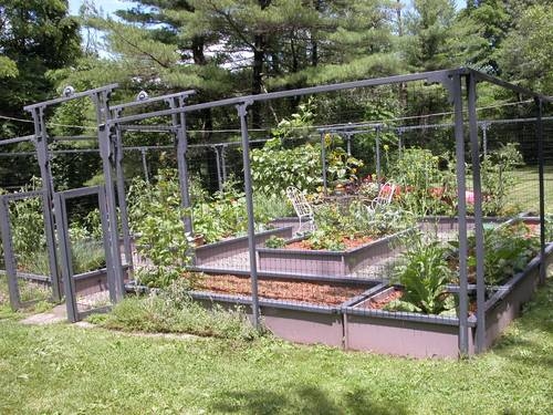 Vegetable Gardening
