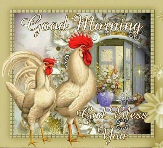 Rooster Good Morning Quote Pictures, Photos, and Images for Facebook