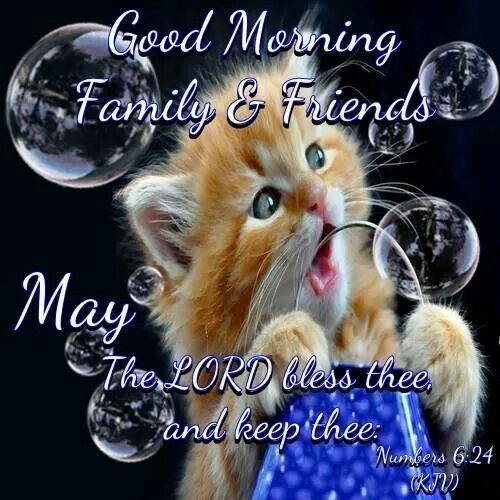 Kitty & Bubbles Good Morning Family & Friends Pictures, Photos, and