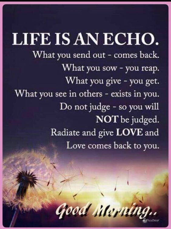 Life Is An Echo, Good Morning Pictures, Photos, and Images for Facebook