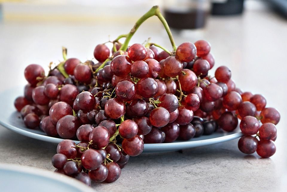Fresh Grapes Pictures, Photos, and Images for Facebook, Tumblr ...